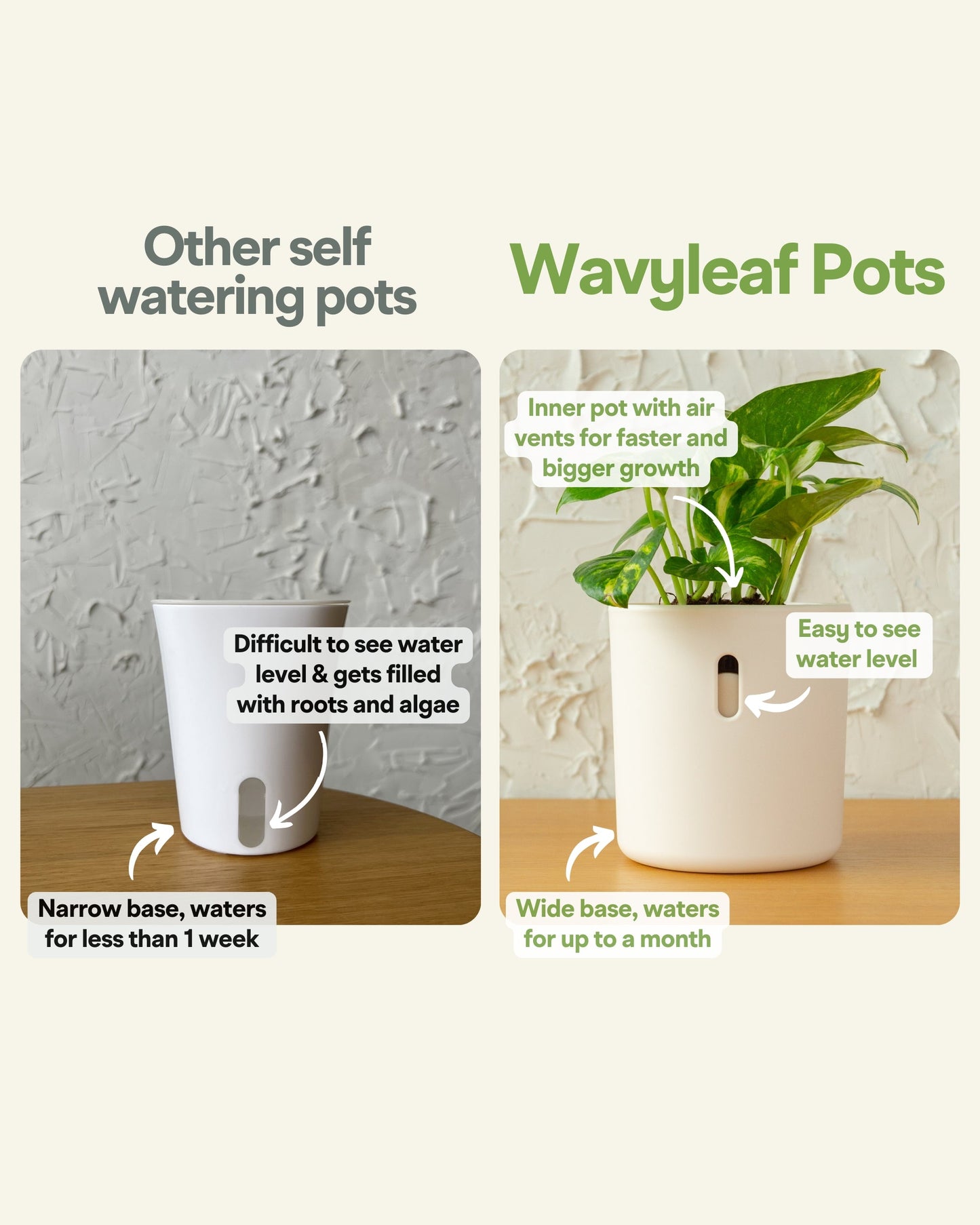 Wavyleaf Self Watering Planter | 4 inch