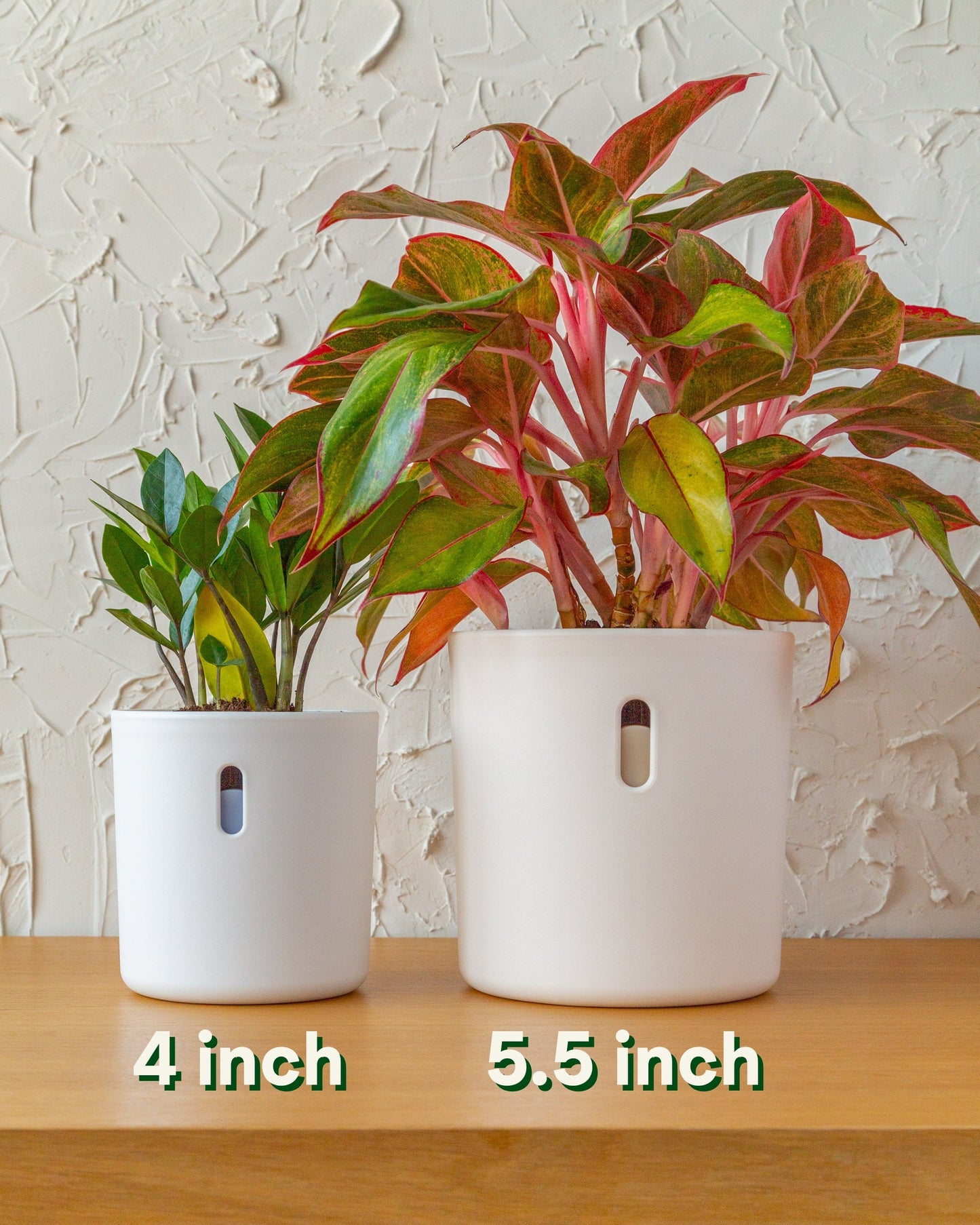 Wavyleaf Self Watering Planter | 4 inch