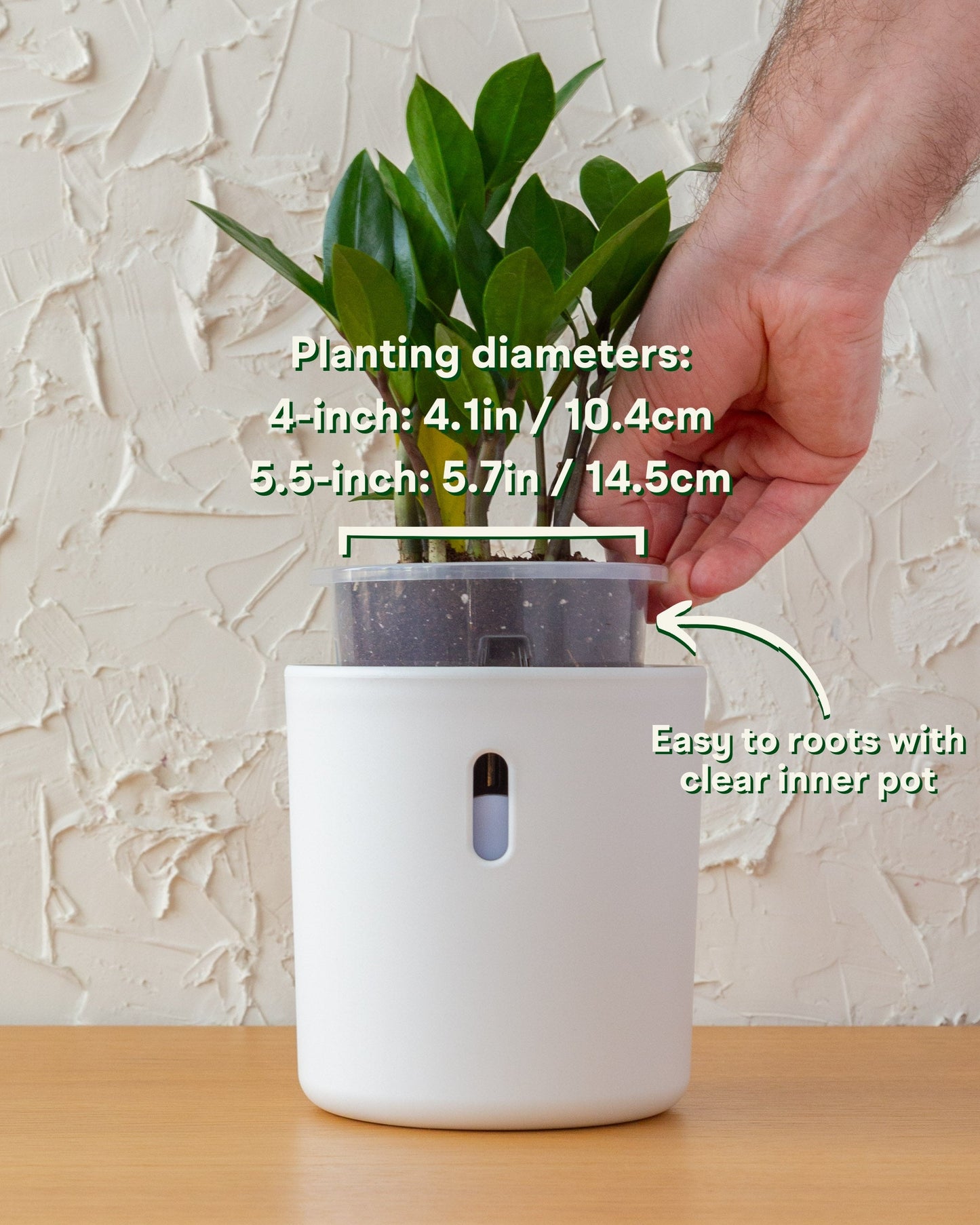 Wavyleaf Self Watering Planter | 4 inch