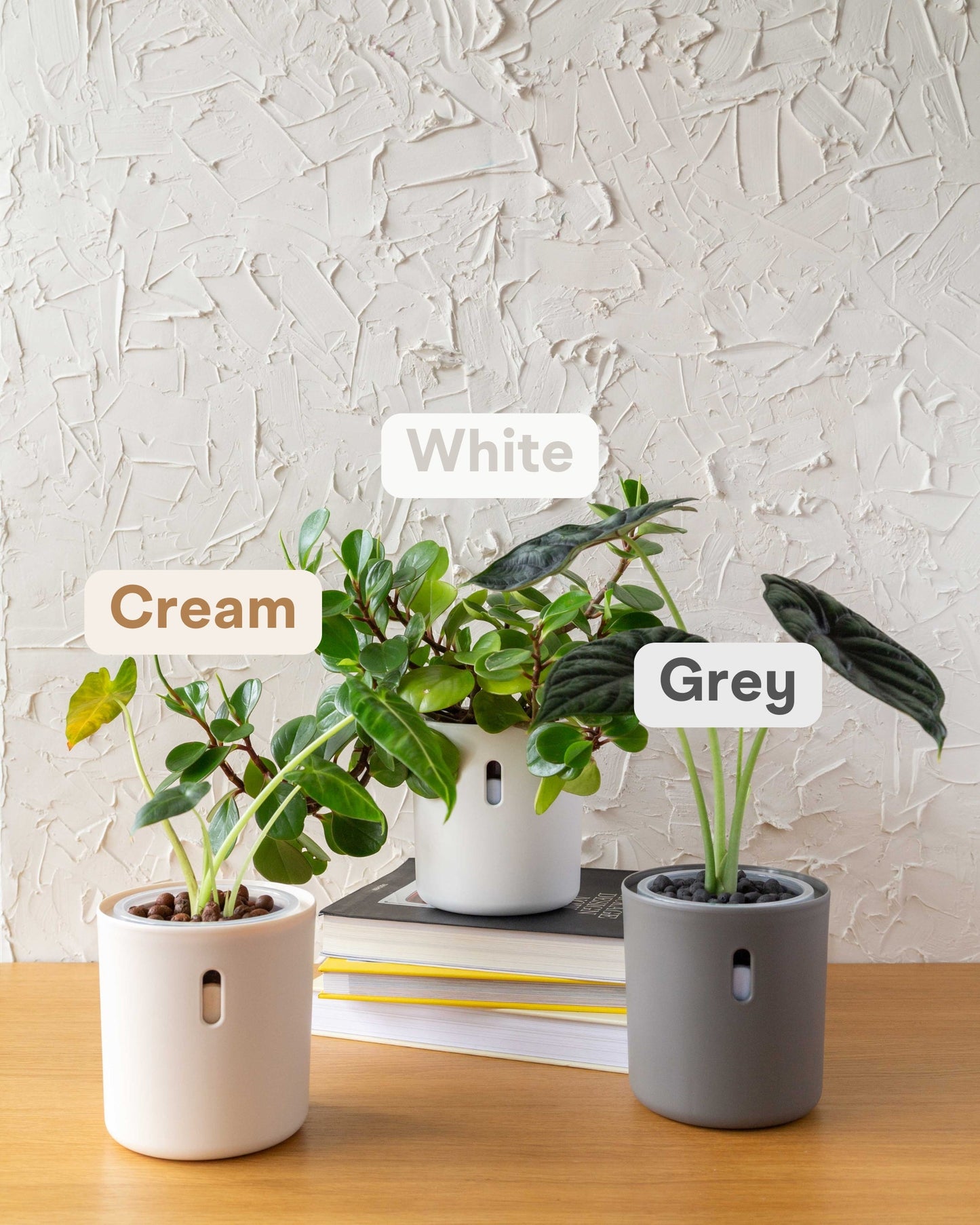 Wavyleaf Self Watering Planter | 4 inch