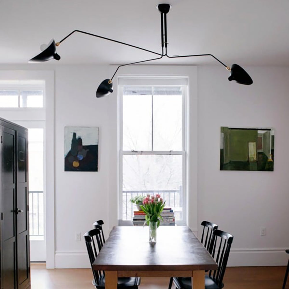 Merle Duckbill Ceiling Light