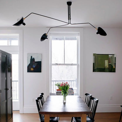 Merle Duckbill Ceiling Light