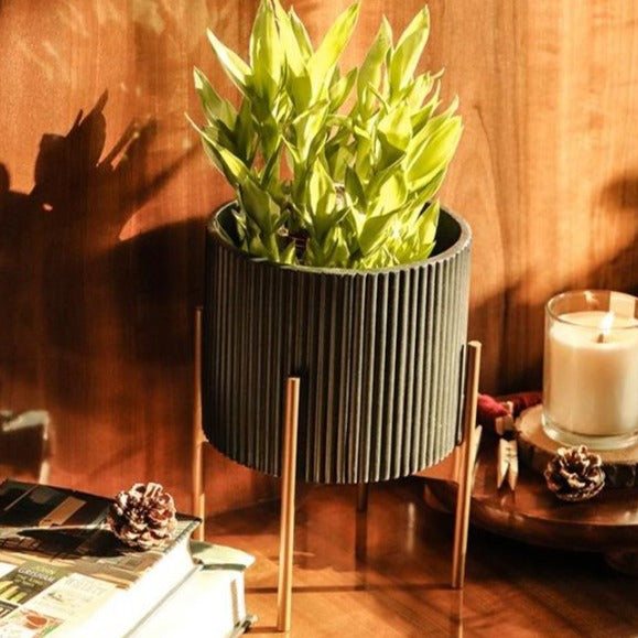 Small Midori Planter With Stand